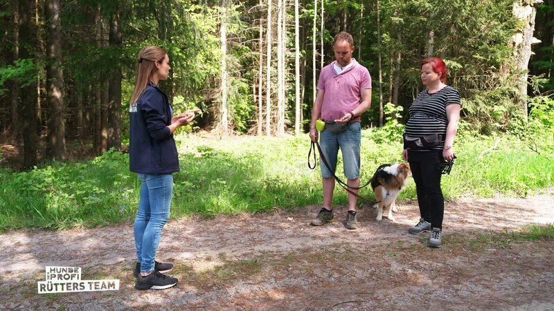 Bild: RTL
