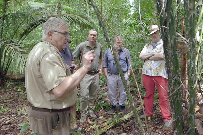 In Französisch-Guayana weisen Archäologen nun nach, dass das Amazonasbecken in Wirklichkeit gar nicht so unberührt war. Ihre Forschungen haben ergeben, dass das Gebiet dicht besiedelt war, und zwar von Menschen, die das Land bestellt und genutzt haben. – Bild: ARTE France Honorarfreie Verwendung nur im Zusammenhang mit genannter Sendung und bei folgender Nennung „Bild: Sendeanstalt/​Copyright“. Andere Verwendungen nur nach vorheriger Absprache: ARTE-Bildredaktion