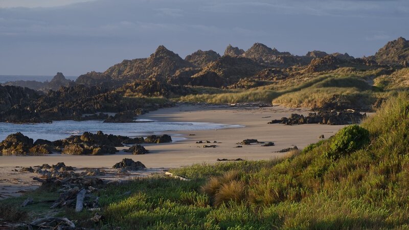 Vor 12.000 Jahren wurde Tasmanien von Australien getrennt und entwickelte seine eigenen Naturräume. – Bild: Arte