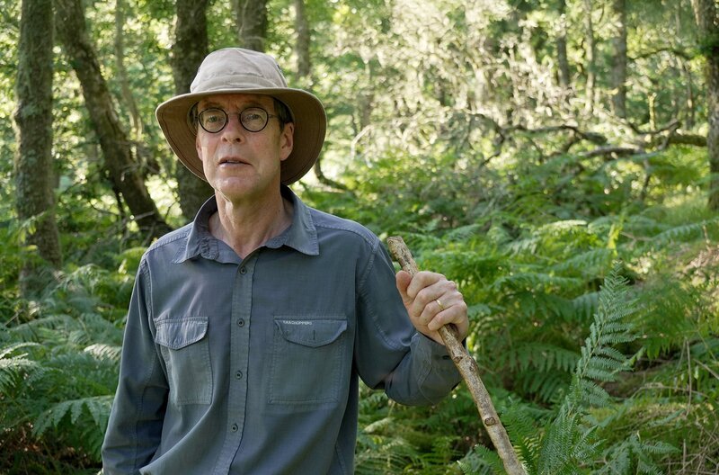 Großgrundbesitzer John Howell setzt sich für den Schutz von Piles Copse ein, einem von Großbritanniens seltenen gemäßigten Regenwäldern. – Bild: Peter Holleber