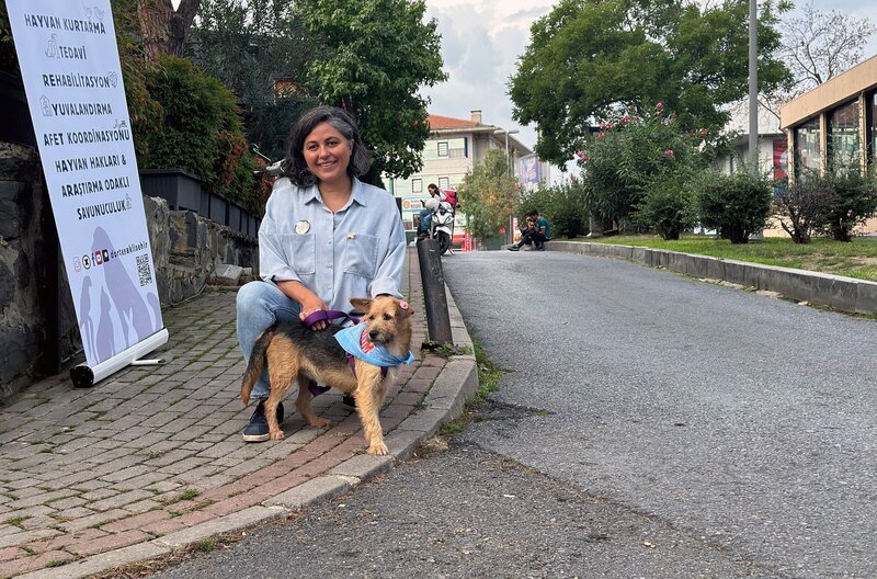 Soziologin Mine Yildirim kämpft mit ihrem Verein ‚Dört Ayaklı Şehir‘ (Vierbeinerstadt) für die Rechte von Straßentieren. – Bild: ZDF /​ Eco Media TV