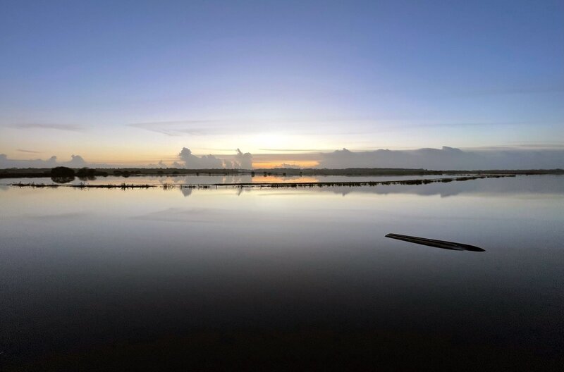 Die Sümpfe von Cotentin und Bessin in der Normandie sind riesige Feuchtgebiete – ein wahrer Zufluchtsort für Zugvögel und ein riesiges Reservoir an biologischer Vielfalt. – Bild: MedienKontor/​Thomas Delorme