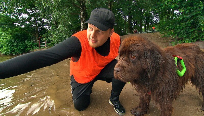 ARD/​NDR SPÜRNASE, FÄHRTENSAU & CO. (14), „Maja im Hundesalon“. Maja beim Training mit Michael Krämer. – Bild: NDR/​5ǀ14 FILM