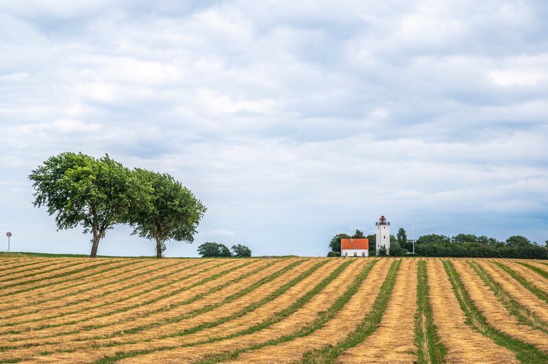 Der Leuchtturm von Gedser vor einem Feld auf Falster, Dänemark. – Bild: EyeEm Mobile GmbH /​ Getty Images /​ iStockphoto