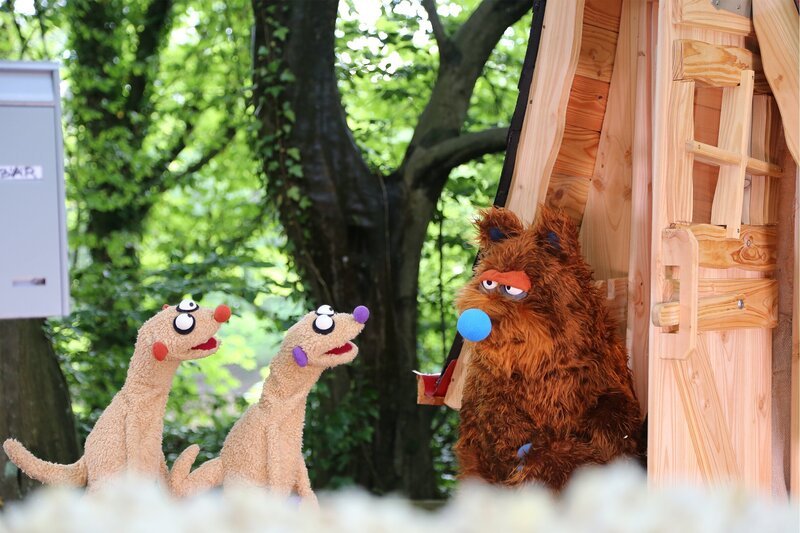 Die Erdmännchen treffen einen Bär. – Bild: NDR/​bigSmile