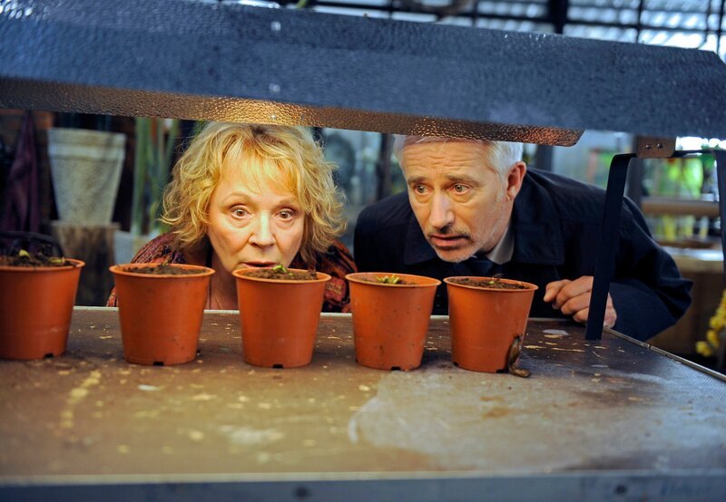 Thomas (Gerry Hungbauer, r.) und Erika (Madeleine Lierck-Wien, l.) entdecken entsetzt, dass die Scherflingszucht dem Schneckenfraß zum Opfer gefallen ist. – Bild: ARD/​Nicole Manthey