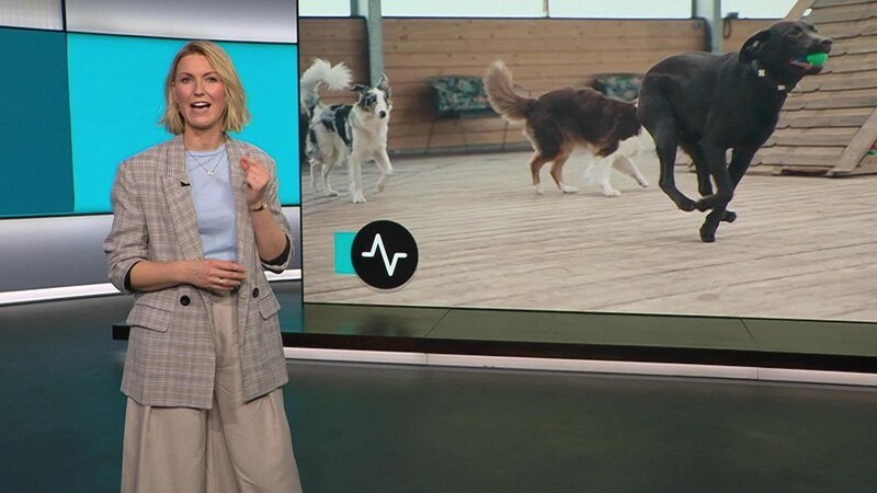 Bild: RTL