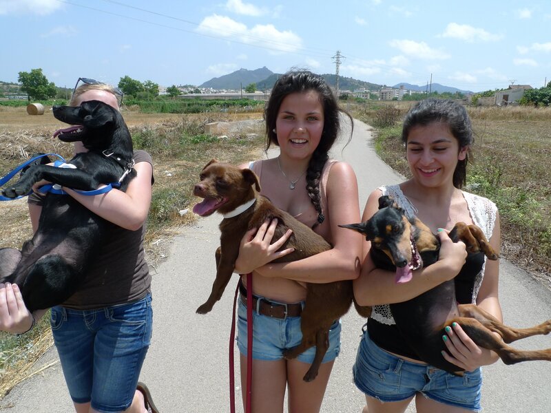 Maja, Louisa und Buse bei ihrem sozialen Projekt: Gassi gehen mit den Hunden vom Tierheim. – Bild: Tobias Zydra /​ ZDF