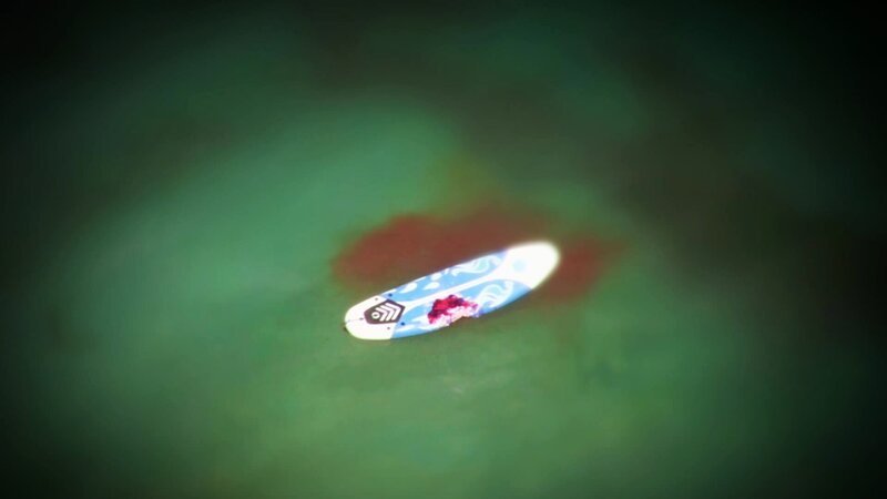 Surfbrett mit Blutspuren. – Bild: Discovery Channel