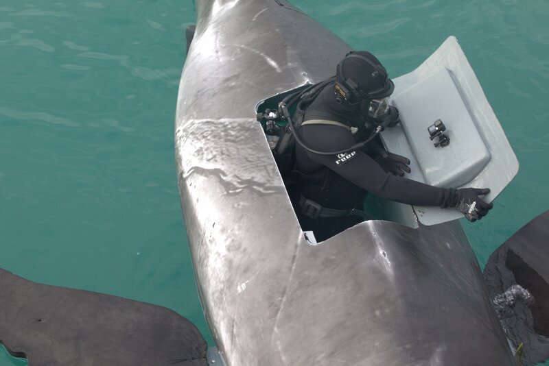 Austin in voller SCUBA-Ausrüstung schließt EARL-Luke – Bild: 2023 Warner Bros. Discovery, Inc. or its subsidiaries and affiliates. All rights reserved.