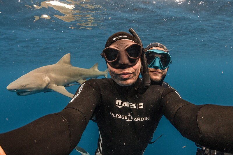 Taucher schwimmen mit Haien – Bild: RTL