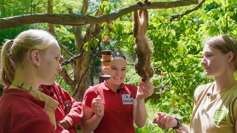 Inga, Laura und Kalid dürfen Äffchen füttern. – Bild: MDR/​Cine Impuls Leipzig GmbH