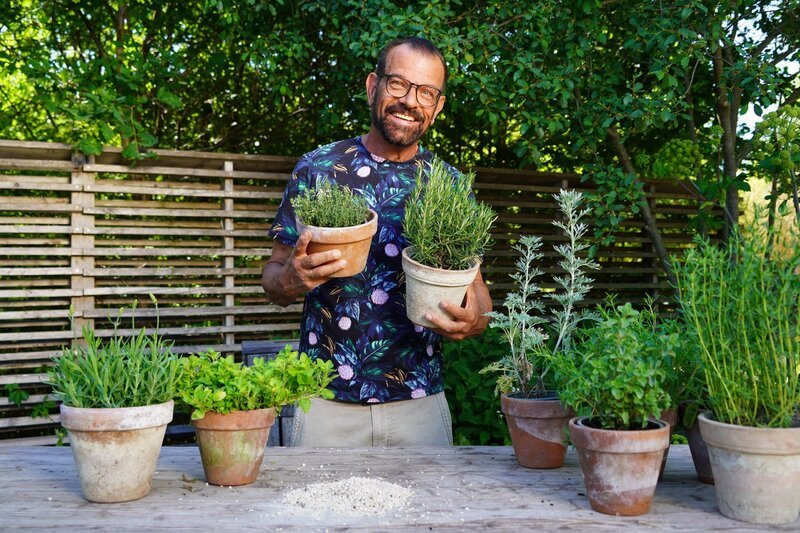 Karl Ploberger stellt ideale Sommerkräuter für sonnige, trockene Standorte vor; Pflegehinweise und Rückschnitte. – Bild: Leopold Mayrhofer/​Natur im Garten