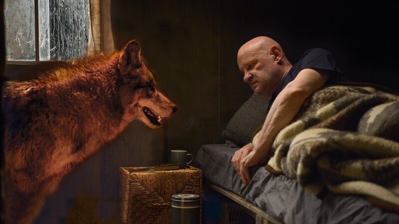 Zwei einsame Wölfe im Spreewald: Kommissar Krüger (Christian Redl) und der Wolf. – Bild: 3sat