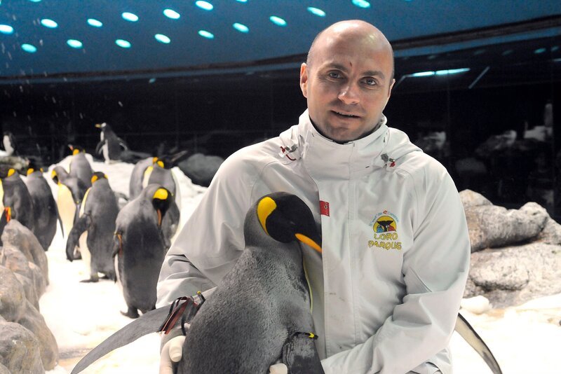 Im Pinguarium ist großer Putztag und das freut Königspinguin Agatha. – Bild: WDR/​Niklas Böhm