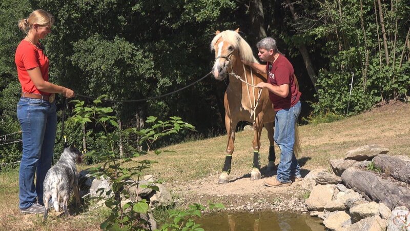 Trainer Bernd Hackl und Co-Trainerin Kerstin Rester – Bild: TVNOW /​ Mina Tv