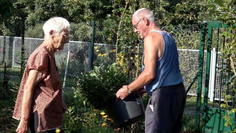 Während Heide und ihre Freundinnen sich mit Prosecco gut gelaunt der Gemüseernte widmen, bekommt Rentnerin Ingrid erst Besuch von einem Nachbarn, später von einem Handwerker. Zudem hat ein Sturm die Anlage getroffen und Schäden angerichtet. – Bild: RTL Zwei
