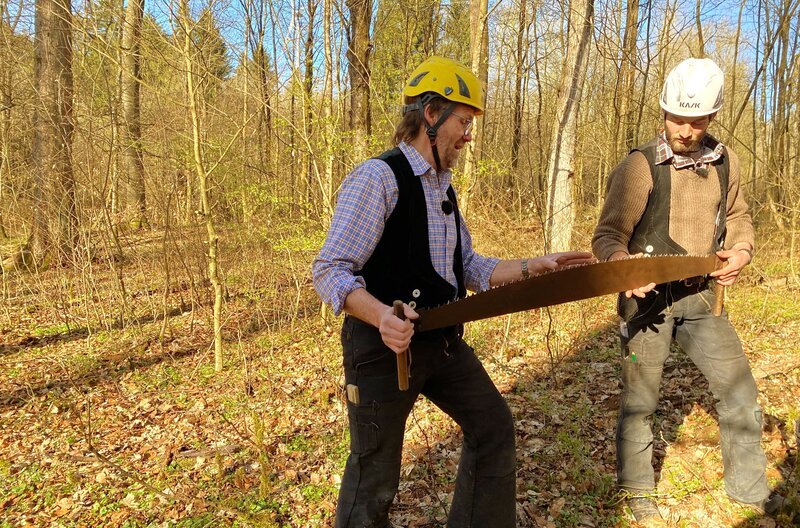 Mathias Gläser und Jan Vockel. Die beiden sind Zimmerermeister und Restauratoren im Handwerk. Sie fällen die Esche mit Äxten, zersägen dann den Stamm und zeigen mit alten Techniken, wie man aus dem Rundholz optimal einen eckigen Balken arbeitet. – Bild: SWR