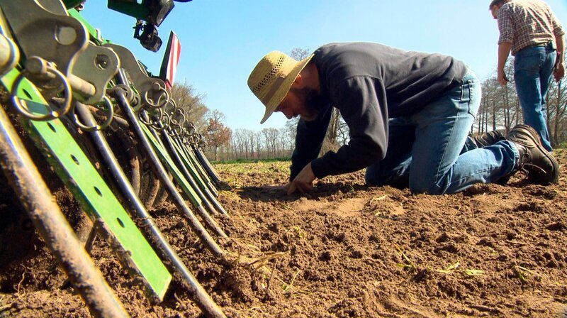 Landwirt Jan Wreesmann prüft, wie tief die Senfsamen in den Boden kommen. – Bild: NDR/TV Plus/Christian Kell Landwirt Jan Wreesmann prüft, wie tief die Senfsamen in den Boden kommen. – Bild: NDR/TV Plus/Christian Kell