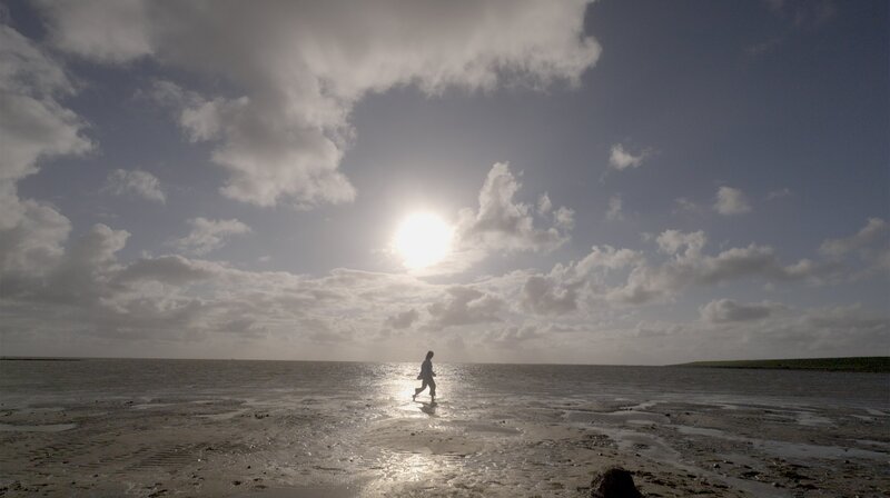 Einzigartig: Das Wattenmeer der Nordsee gehört zum UNESCO-Welterbe. – Bild: NDR/​Moritz Schwarz/​Felix Korfmann