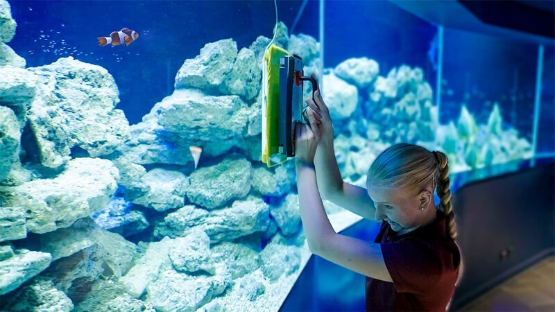 Im Aquarium braucht es Muskelkraft, denn die Scheiben des riesigen Rundbeckens müssen geputzt werden – und zwar in Höchstgeschwindigkeit! – Bild: MDR/​Cine Impuls Leipzig GmbH