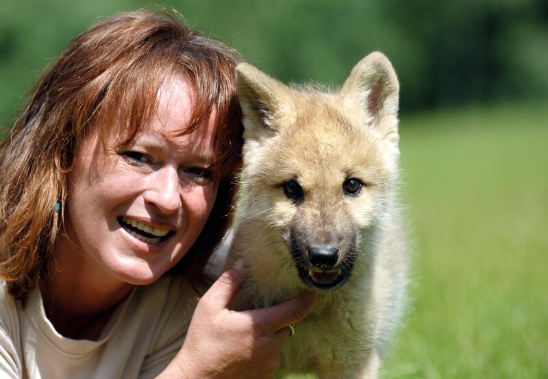 Schauplatz der 30 Folgen „Wolf, Bär & Co“ ist der Wildpark Lüneburger Heide, Deutschlands größter Wildpark mit 140 verschiedenen Arten und über 1000 Tieren. Der Park besitzt unter anderem seltene Schneeleoparden und mehrere Wolfsrudel, darunter schneeweiße Polarwölfe. Wolfsmutter Tanja Askani mit Handaufzucht Noran. – Bild: rbb/​NDR/​Naturfilm/​Angela Kraft /​ www.tierfoto-lueneburger-heide.de