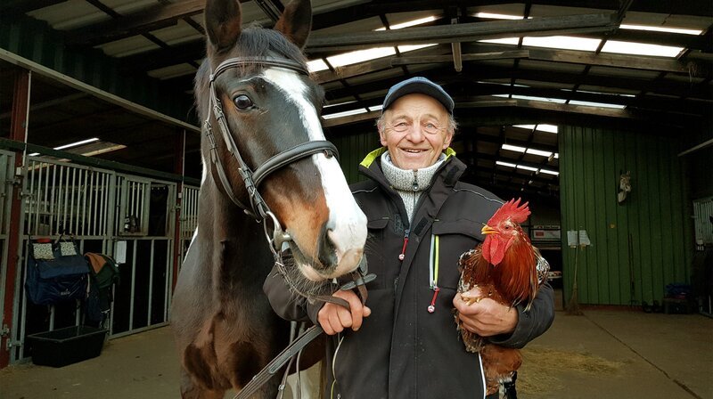 Albert Smidt züchtet nicht nur Pferde, sondern auch Schwedische Blumenhühner. – Bild: NDR/Peter Janßen Albert Smidt züchtet nicht nur Pferde, sondern auch Schwedische Blumenhühner. – Bild: NDR/Peter Janßen