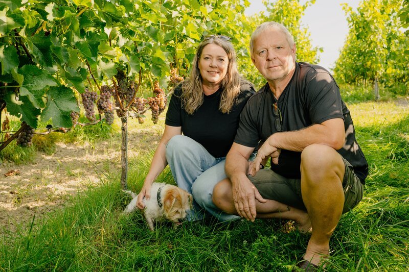 Gemeinsam mit seiner Frau Eva hat Hubert Weizenberger versucht, was viele für verrückt hielten: Weinbau im Donautal bei Passau. Mit Erfolg! – Bild: Amelie Sachs /​ BR /​ Isarflimmern Fernsehproduktion GmbH /​ cutflow GmbH