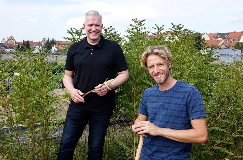 Alexander Herrmann (links) und Sebastian Niedermaier graben Süßholzwurzeln aus in der Biogärtnerei Niedermaier in Bamberg. – Bild: BR/​Jürgen Endriß
