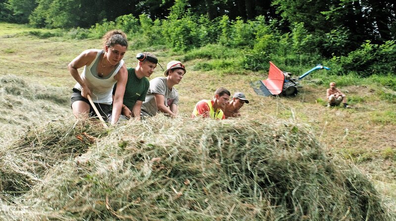 Der Bergwiesenverein setzt sich zusammen aus Jungbauern, Forstarbeitern und der heimischen Landjugend. Auch Erholung suchende Helfer, Studierende und ehemalige Schüler und Schülerinnen von Vereinsobmann Christian sind tatkräftig mit dabei. – Bild: BR/​Bernhard Wohlfahrter