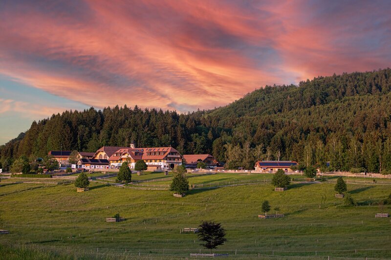 Hof Gut Aiderbichl, Henndorf. – Bild: ORF/​Gut Aiderbichl