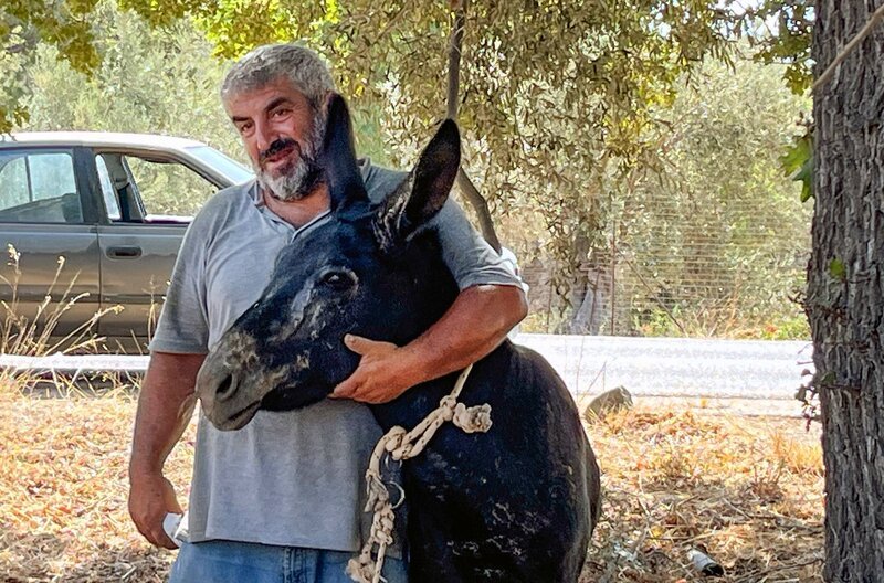 Dimitris Esel ist das Maskottchen des Dorfes – das Tier entkam den Flammen nur knapp. – Bild: SWR