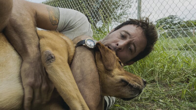 Steve McGarrett (Alex O’Loughlin) – Bild: 2019 CBS Broadcasting, Inc. All Rights Reserved. Lizenzbild frei
