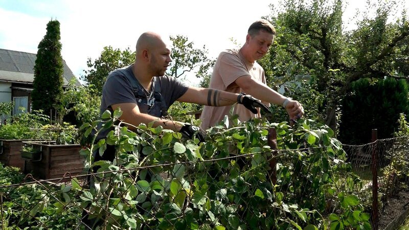 Bei Ronny und Steffen wird es heute derweil stachelig. Der Brombeerstrauch versperrt mehr und mehr den Eingang zu ihrem Garten und soll deshalb umgesetzt werden – keine einfache Angelegenheit.; Bei Ronny und Steffen wird es heute derweil stachelig. Der Brombeerstrauch versperrt mehr und mehr den Eingang zu ihrem Garten und soll deshalb umgesetzt werden – keine einfache Angelegenheit. – Bild: RTL Zwei