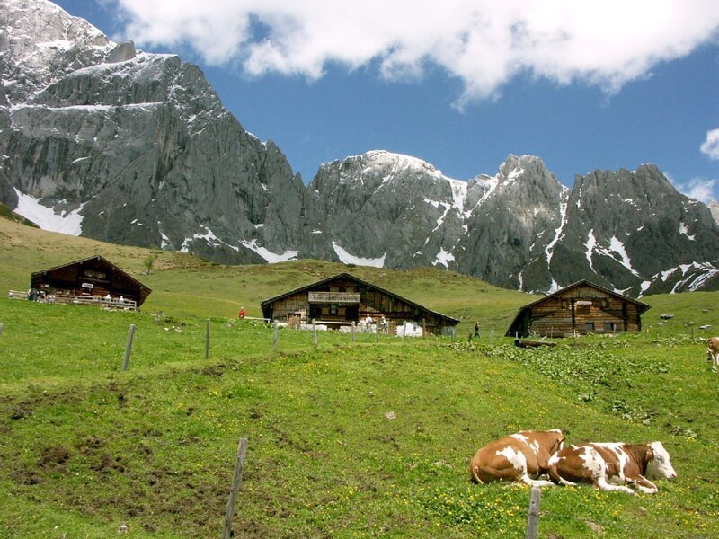 Der Hochkönig, mit 2.941 Metern höchster Gipfel der Salzburger Kalkhochalpen, überragt einen Lebensraum von erlesener Schönheit. Der Berg hat zwei Gesichter: ein friedvolles, ruhiges von Norden; ein zerfurchtes, zerklüftetes von Süden. Die umliegende Natur- und Kulturlandschaft des Pinzgau und Pongau mit ihren Almböden und Wäldern porträtiert Bernd Seidel im Winter und Frühsommer – in jenen Jahreszeiten, in denen diese Bergwelt ihre ganze Schönheit hervorzaubert. – Bild: 3sat
