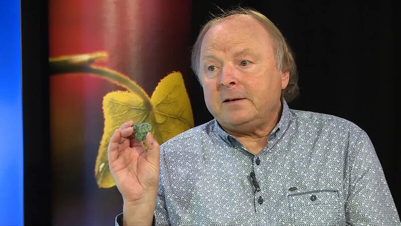 . – Bild: Bibel TV . – Bild: Bibel TV