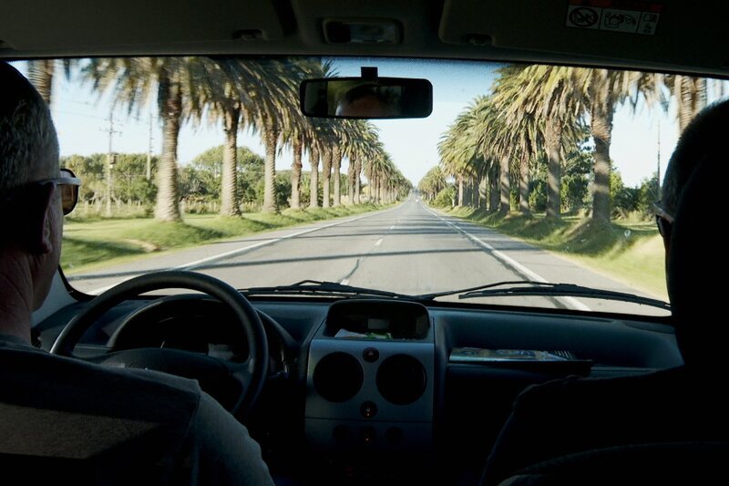 DOK – Auf und davon Staffel 11 (2020) Folge 3  Fahrt durch eine Palmenallee in Uruguay. – Bild: SRF
