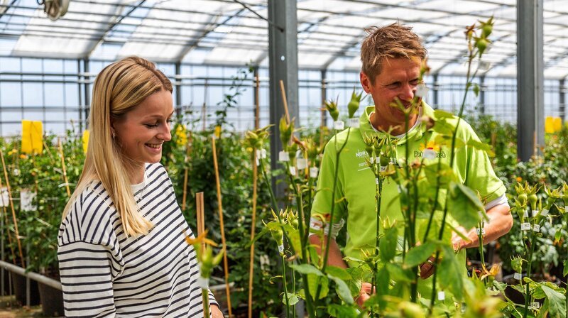 Miriam Busch und Peter Rasch im Gewächshaus der Rosenzucht. – Bild: NDR/​Udo Tanske