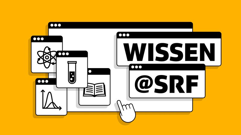 Bild: SF2 Bild: SF2