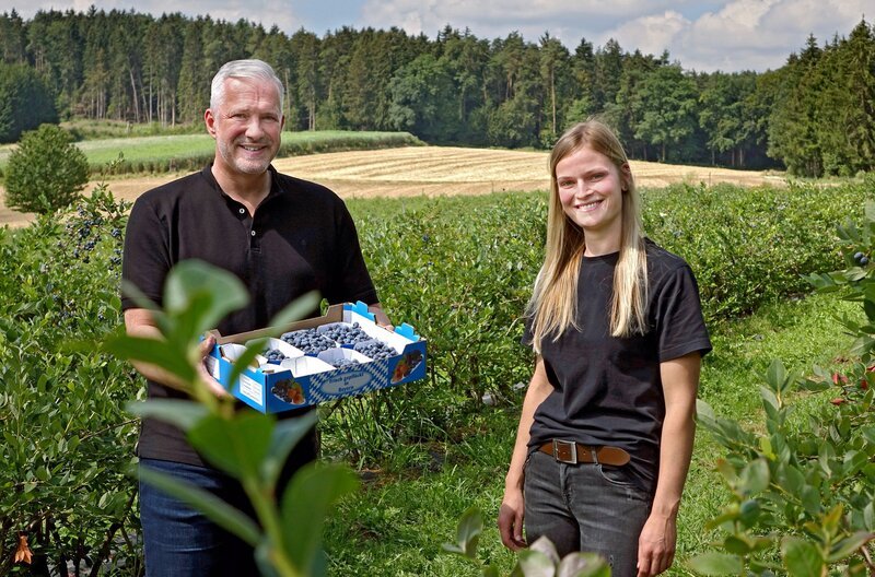 Alexander Herrmann hält eine Steige mit gesammelten Heidelbeeren in der Hand, rechts von ihm Maria Riemensperger, in einer Heidelbeerplantage der Firma Beerenobst Riemensperger in Ainertshofen (Landkreis Aichach-Friedberg). – Bild: BR/​Jürgen Endriß