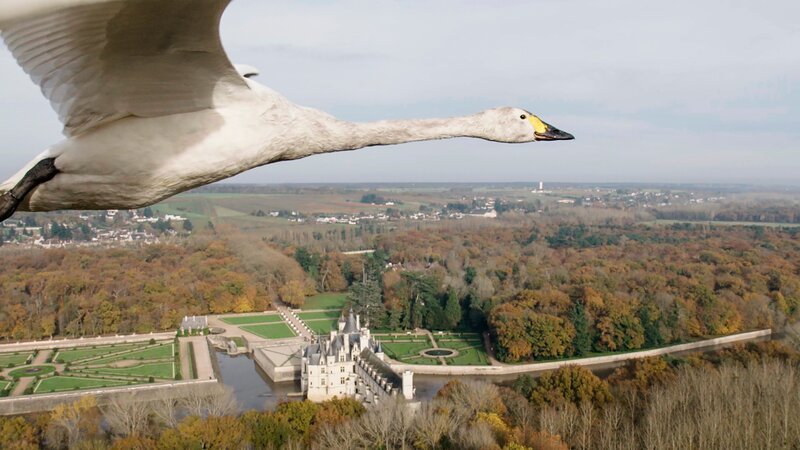 Ein Schwan fliegt über Schloss Chenonceau /​ Luftaufnahme – Bild: Boréales /​ Terra Mater