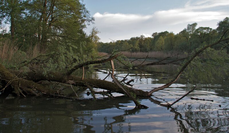 Stausee Wasserburg. – Bild: ORF