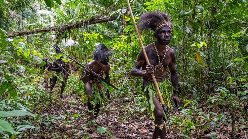 Die Krieger der Iatmul begeben sich auf eine traditionelle Jagd. Ihre Beute sind vor allem Schweine und Krokodile. – Bild: ZDF