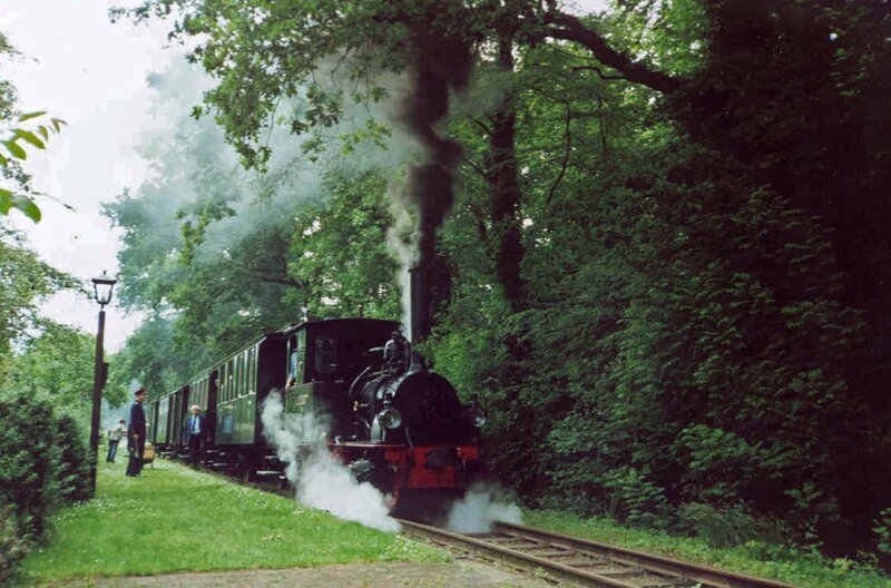 Dampfzug „Franzburg“ in Bruchhausen-Vilsen. – Bild: SWR