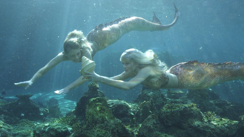 Lyla (Lucy Fry, l.) und Sirena (Amy Ruffle, r.) haben ein Schneckengehäuse gefunden. Damit können sie den Zauber brechen. – Bild: ZDF und (c)2013 Jonathan M. Shiff Productions