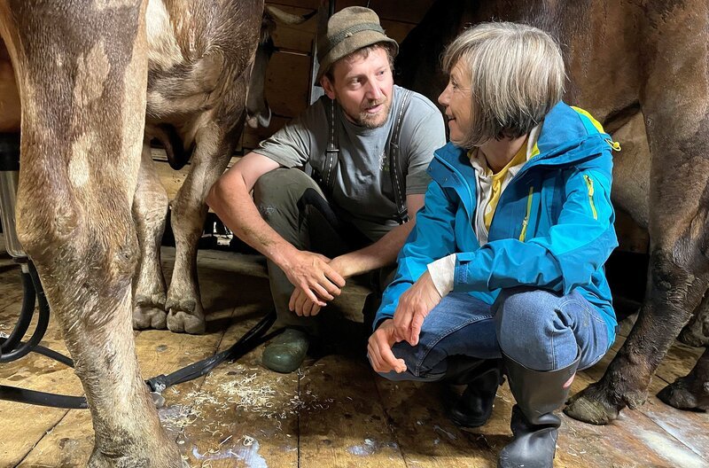 Annette Krause mit Sebastian Beck, dem Sebi, früh am Morgen beim Melken auf der Alpe Oberberg bei Immenstadt. Urlaub auf dem Bauernhof im Allgäu pur. – Bild: SWR