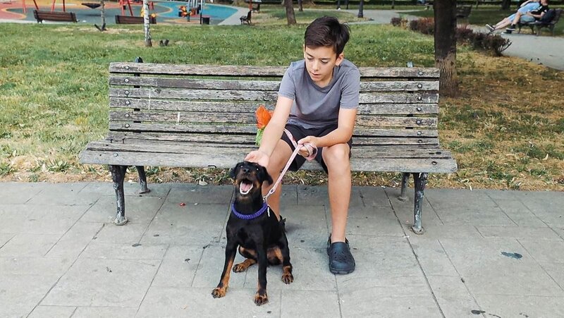 Mixi verbringt Zeit mit Probehund Kiki aus dem Tierheim. Beim gemeinsamen Üben im Park wächst langsam Vertrauen zwischen den beiden. – Bild: ZDF/​Branko Vucic