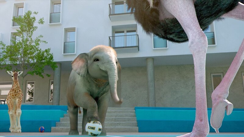 Das Giraffenkind und das Elefantenbaby lassen sich von den Straußen und Nilpferden nicht beeindrucken und zeigen den Erwachsenen ihre raffiniertesten Fußballmanöver. – Bild: Cube Creative Productions