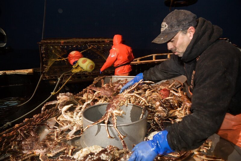 Chris Kirk sorts crab while Matt Sullivan prepares to stack a pot. – Bild: Discovery Channel /​ Corey Arnold