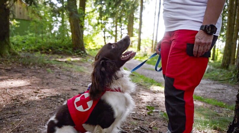 Suchhundestaffel Linz beim Training. – Bild: ORF/​Nikolaus Geyrhalter Filmproduktion